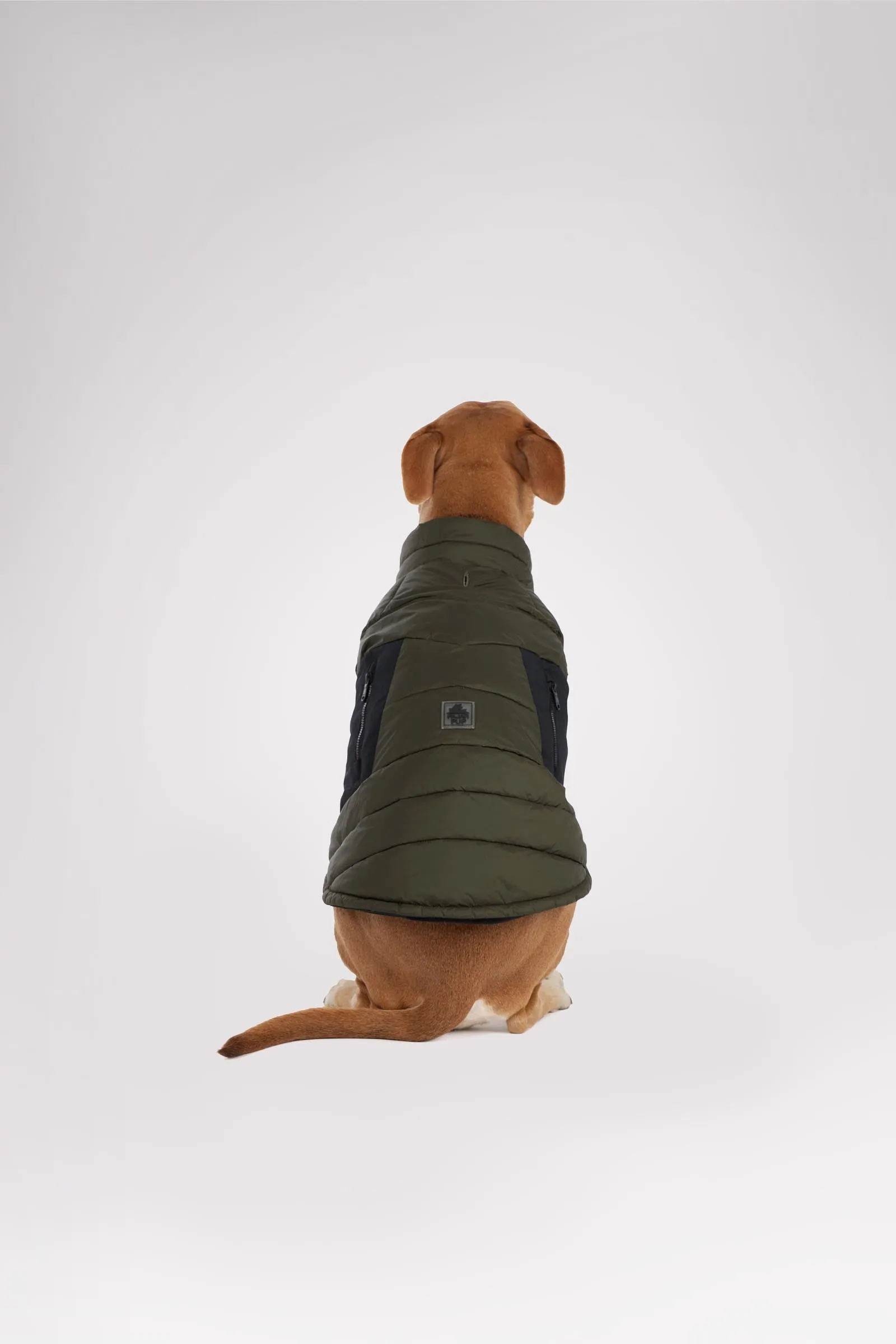 Beau Jacket w/Leash Attachment for Dogs