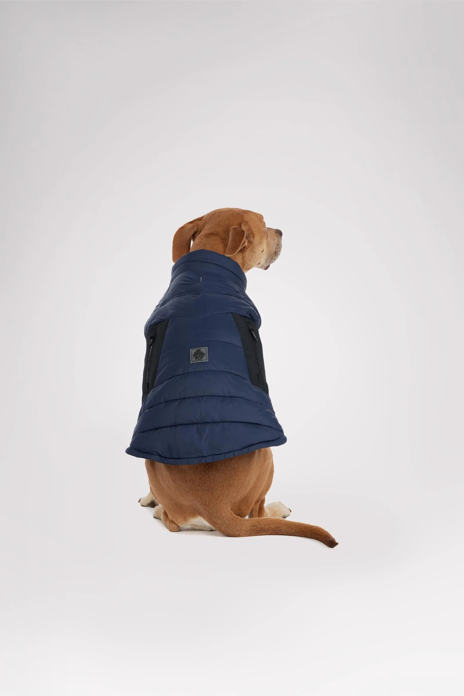 Beau Jacket w/Leash Attachment for Dogs