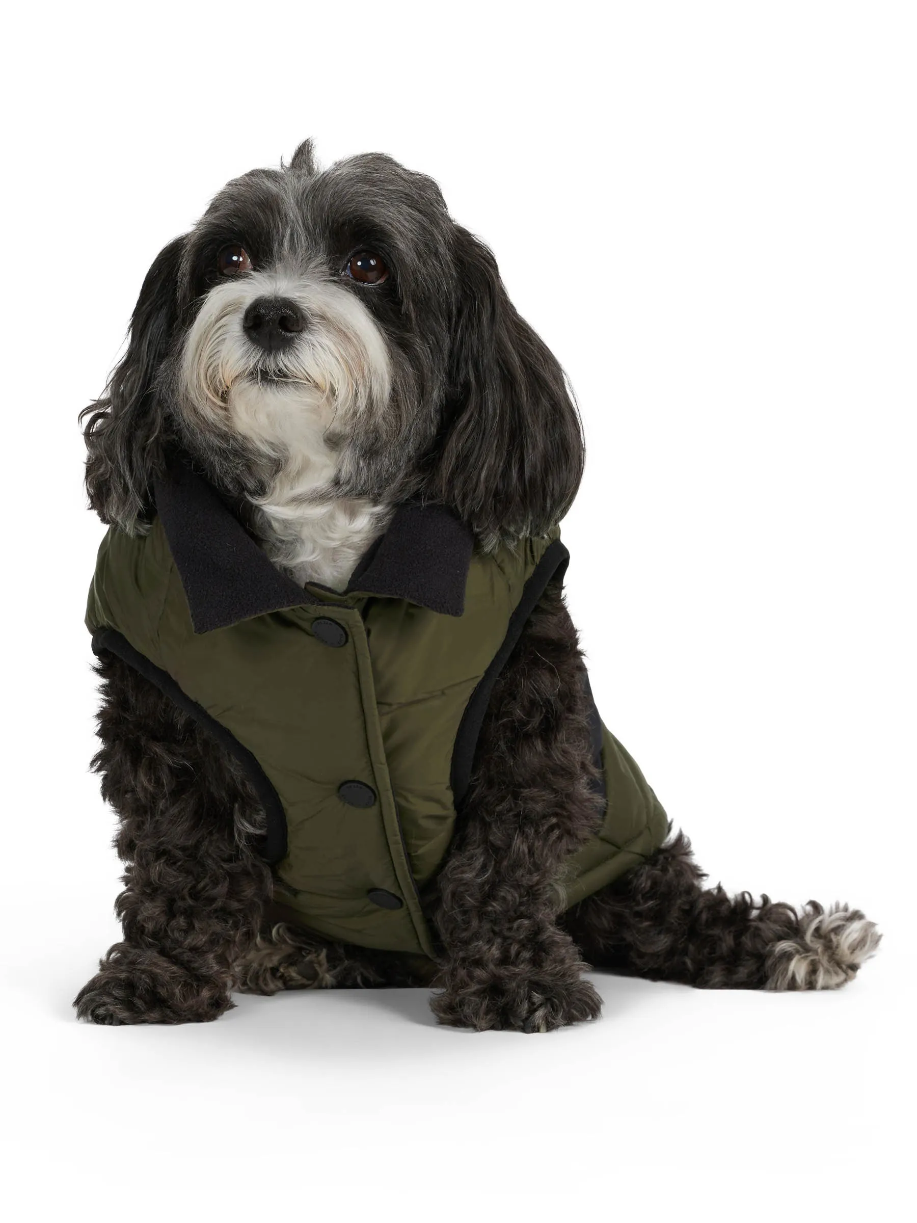 Beau Jacket w/Leash Attachment for Dogs