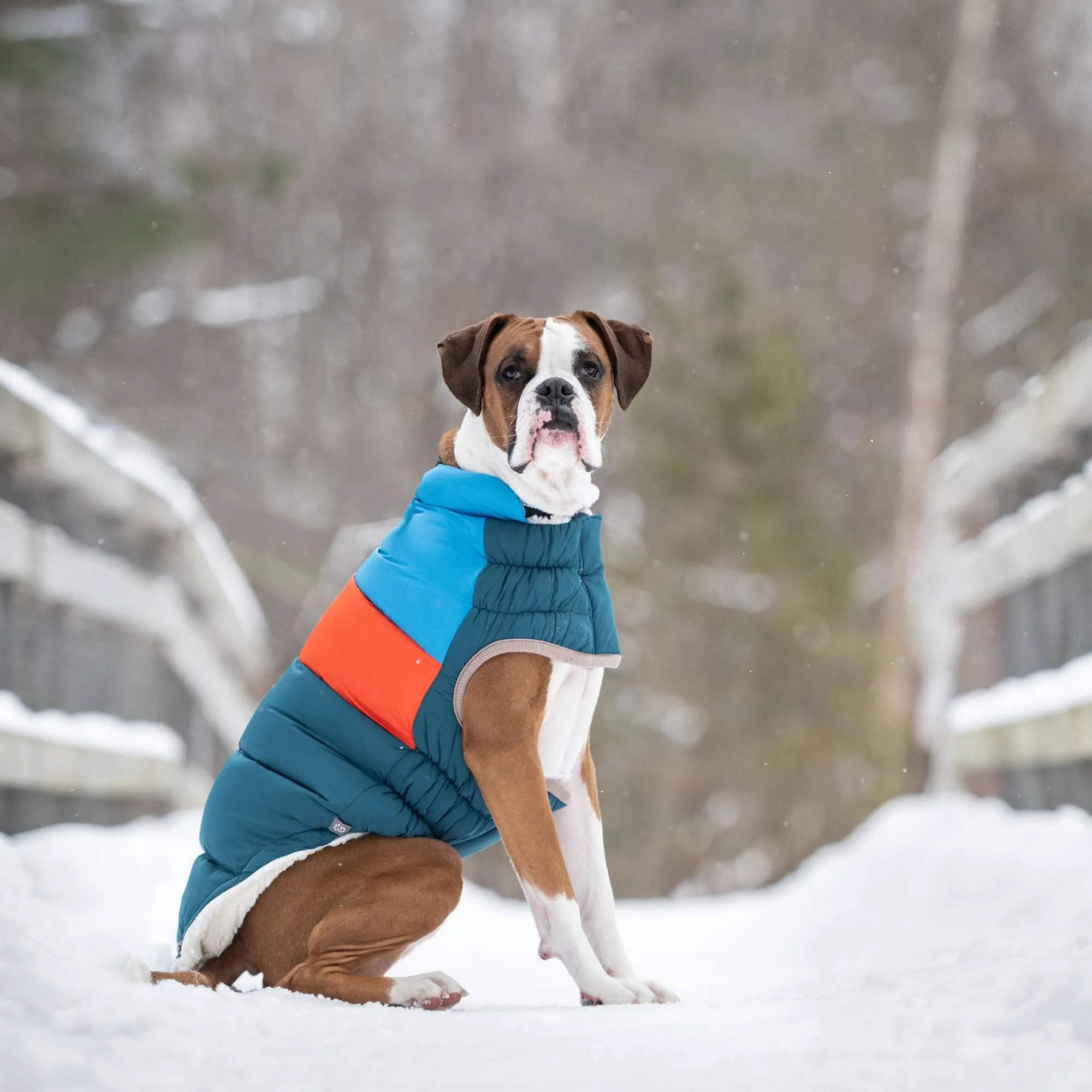 GF Pet Color Block Puffer - Dark Teal