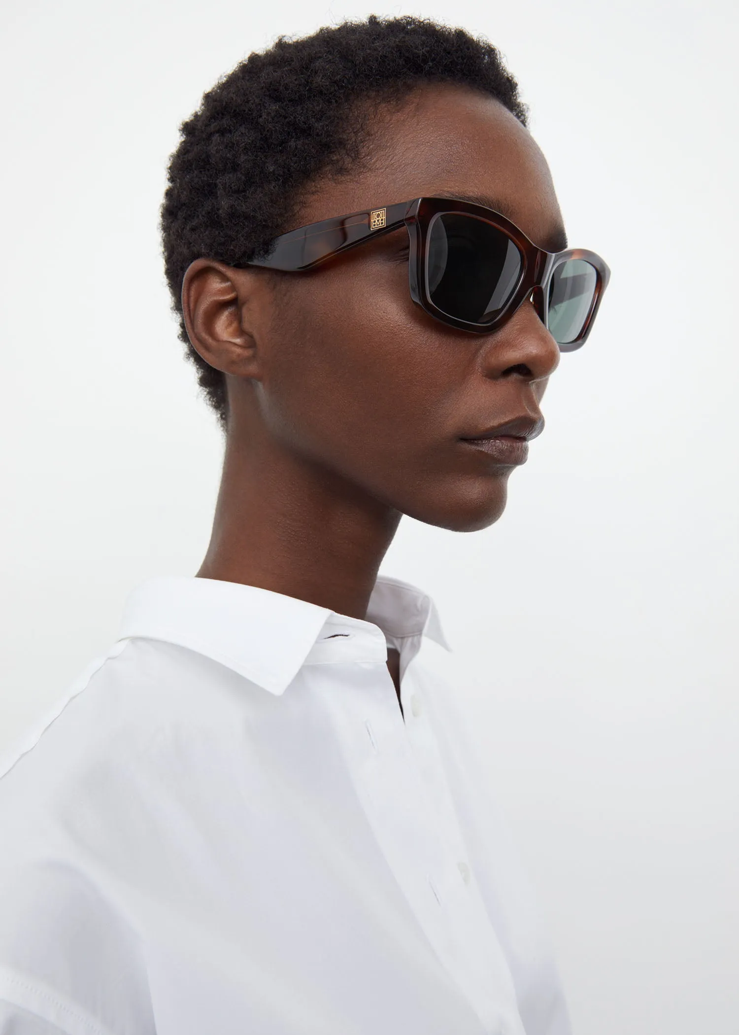 The Classics sunglasses Havana